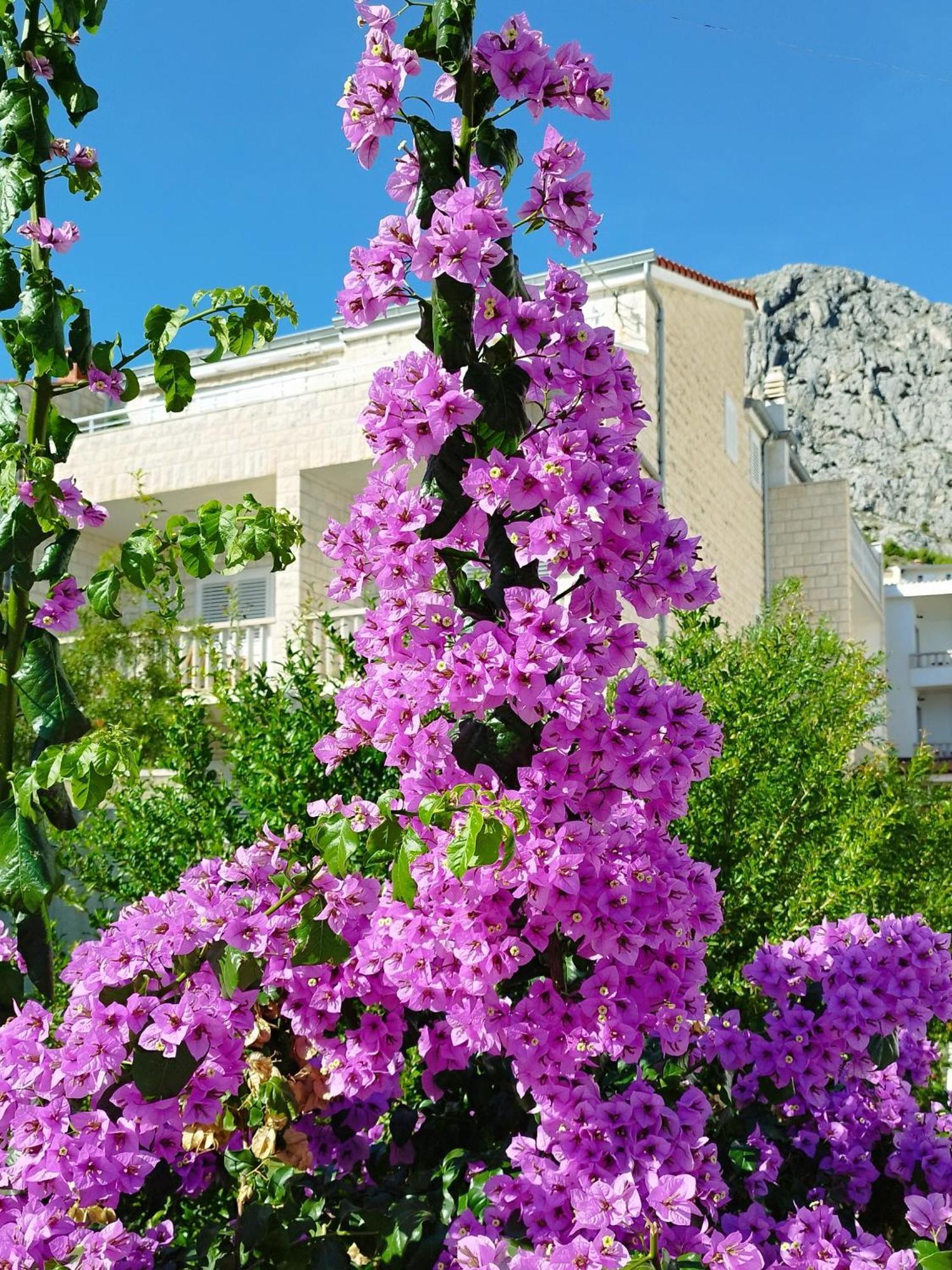 Ferienwohnung Am Sandstrand Omiš Buitenkant foto